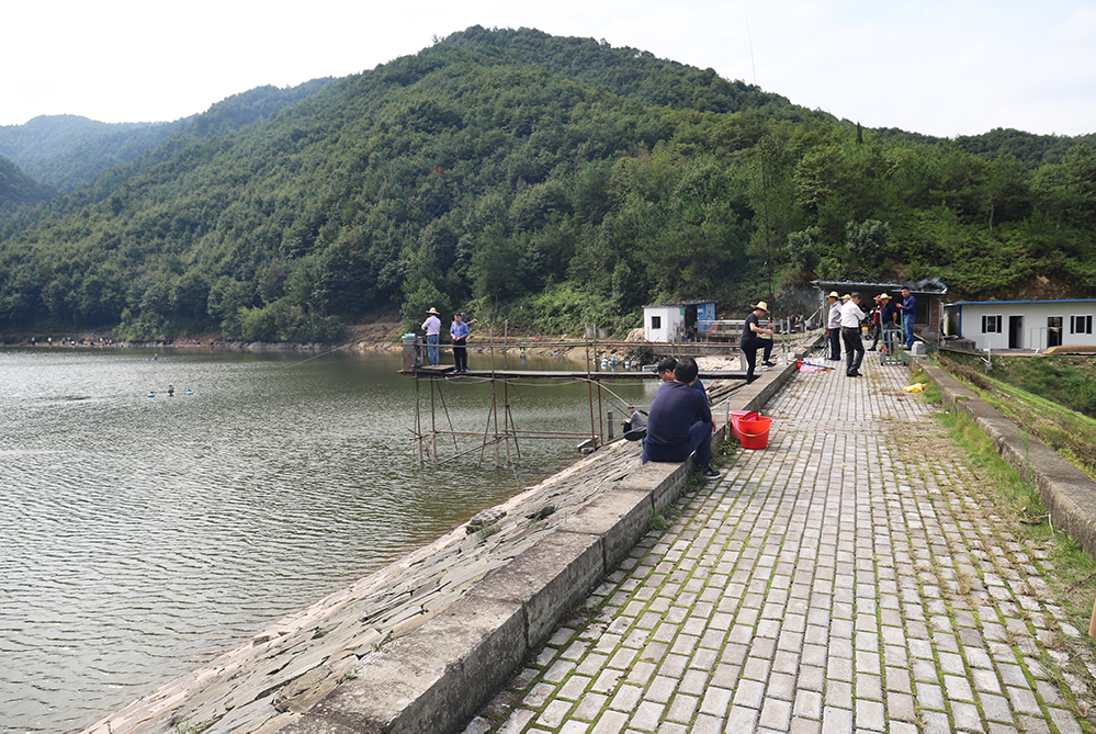 浙江新東陽(yáng)建設集團有限公司